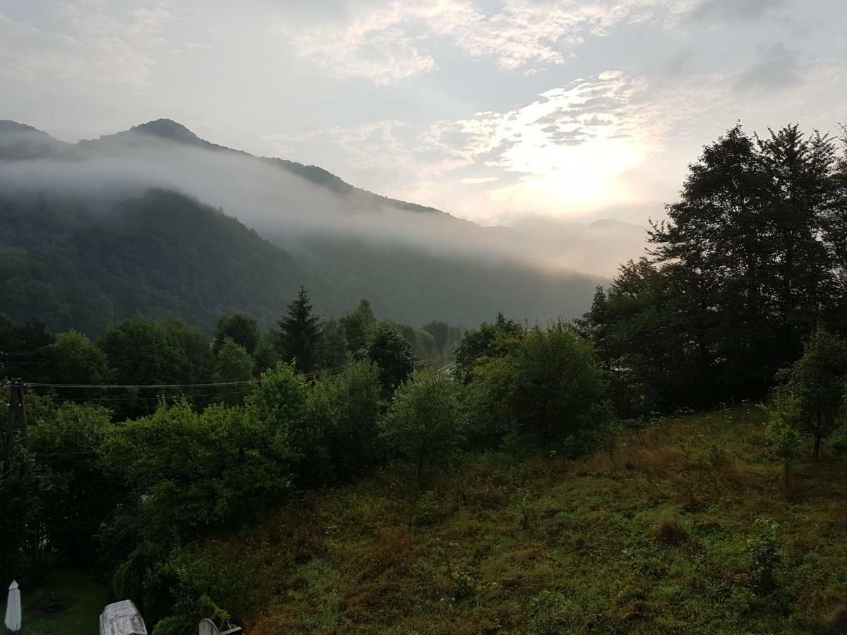 Agroturystyka U Zbyszka Tylmanowa Экстерьер фото